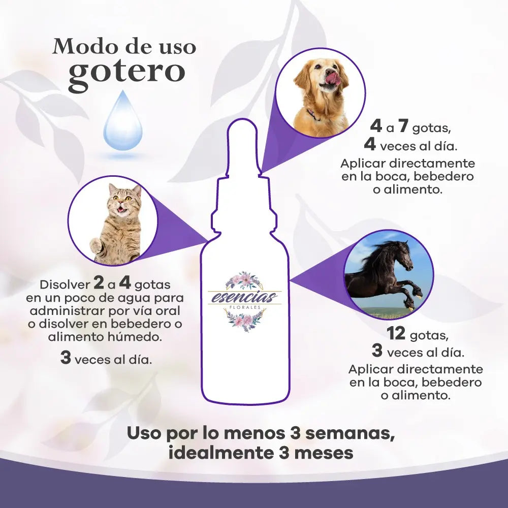 Esencia Puppy Gotas 30ml