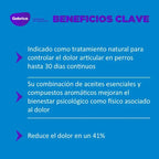 Yoos - Collar Alivio Malestar Articular y Mejora Movilidad