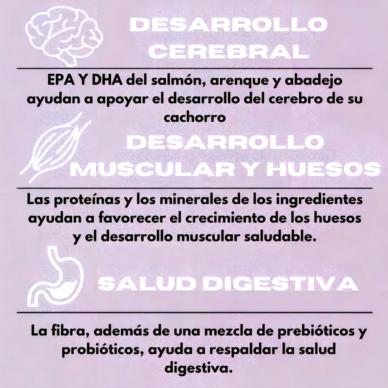 Orijen Kitten, Alimento seco para gatitos 1.8Kg