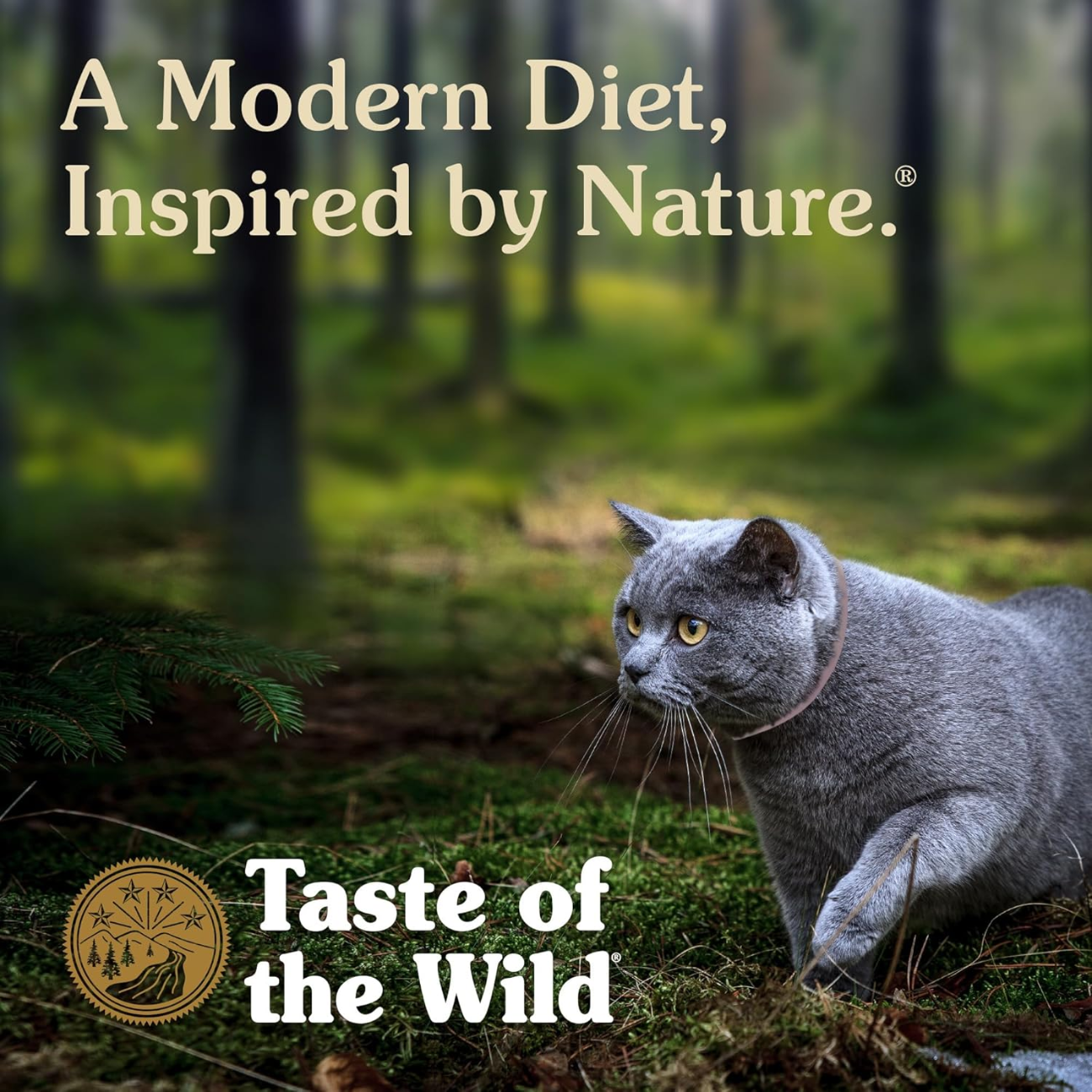 Taste of the Wild Lowland Creek, Alimento seco para felinos 6kg
