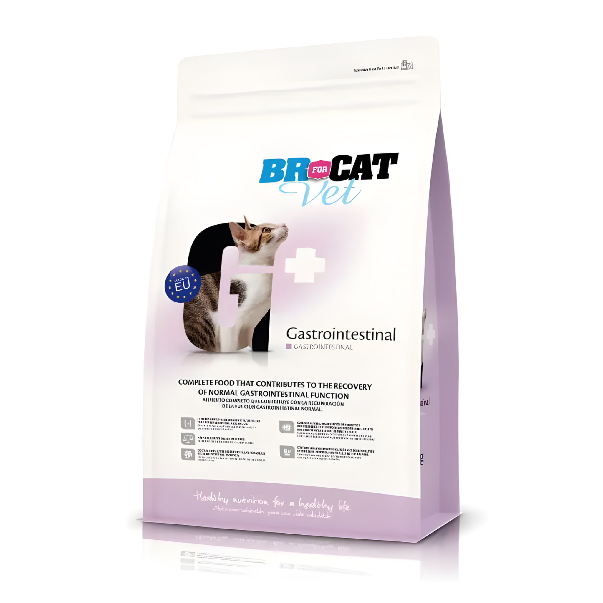 Br For Cat vet - Gastrointestinal