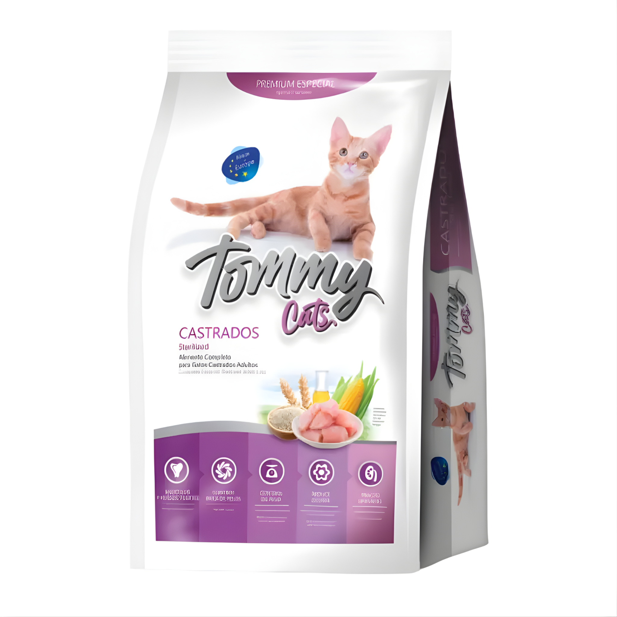 Tommy - Cat's Gatos Castrados
